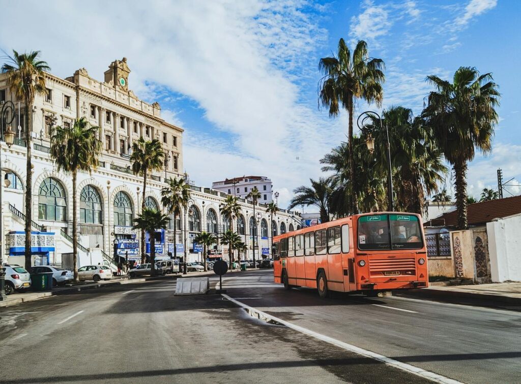 Фото 119 — В Алжире откроется новый культурный проект под открытым небом